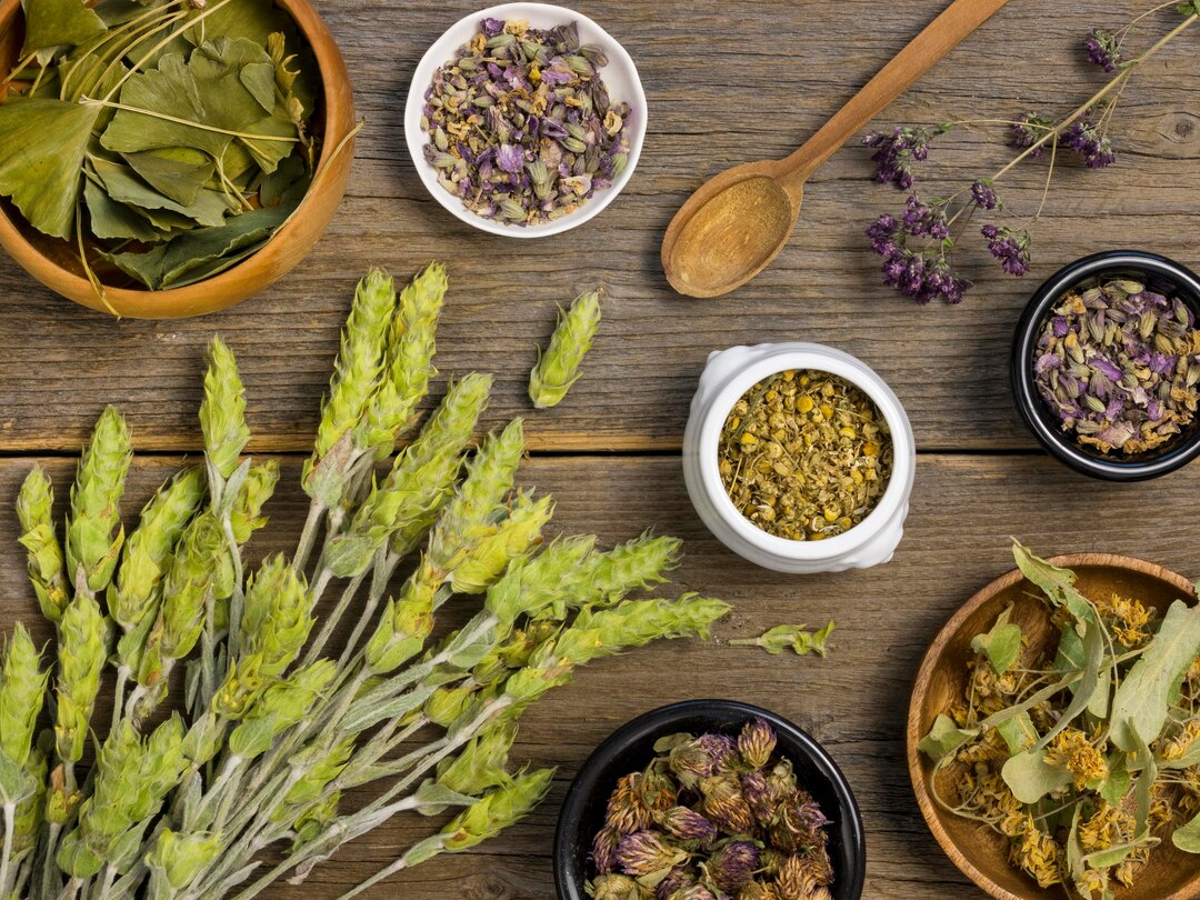 Penelitian Herbal Indonesia